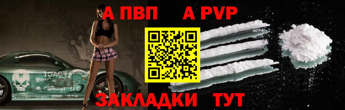 Alfa_PVP СК КРИС Сургут