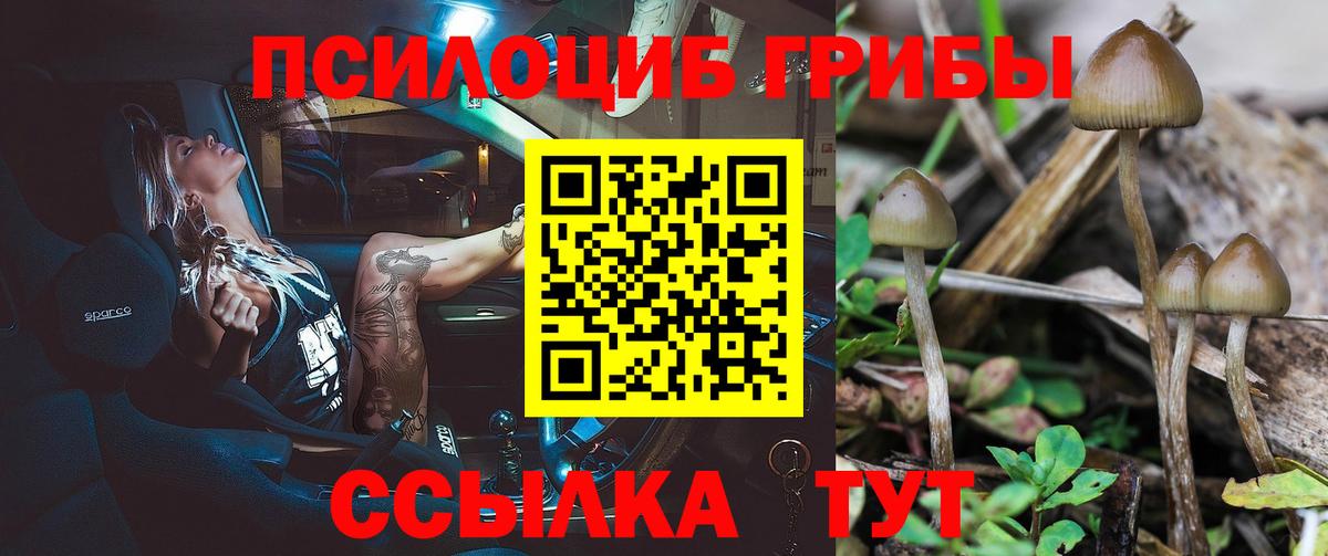 Галлюциногенные грибы Magic Shrooms  Вход с VPN  Сургут  Псилоцибиновые грибы ЛСД 
