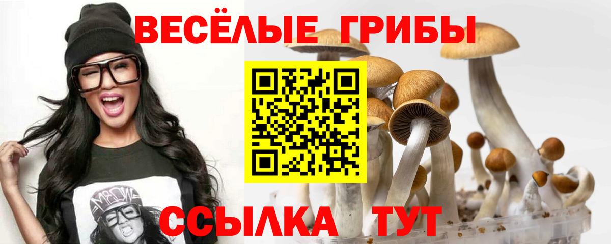 Псилоцибиновые грибы MAGIC MUSHROOMS Сургут